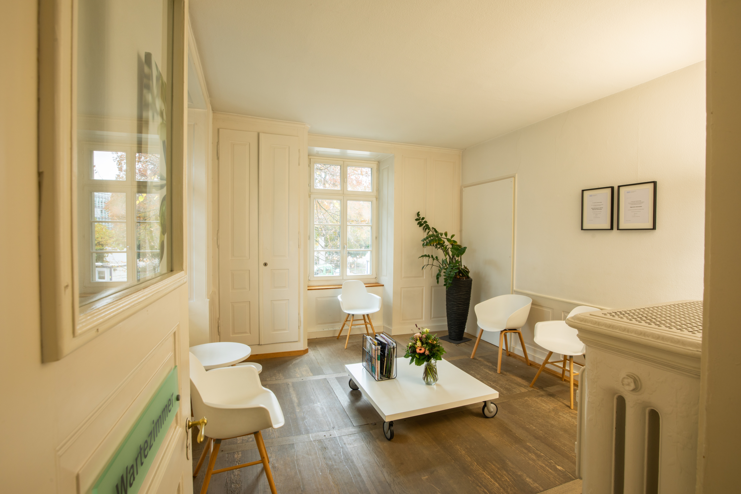 Ihr Zahnarzt in Winterthur - Dr. med. dent. Felix Bertschinger - Zahnarztpraxis Winterthur Theaterstrasse 2 - 8400 Winterthur - Telefon 052 203 63 63